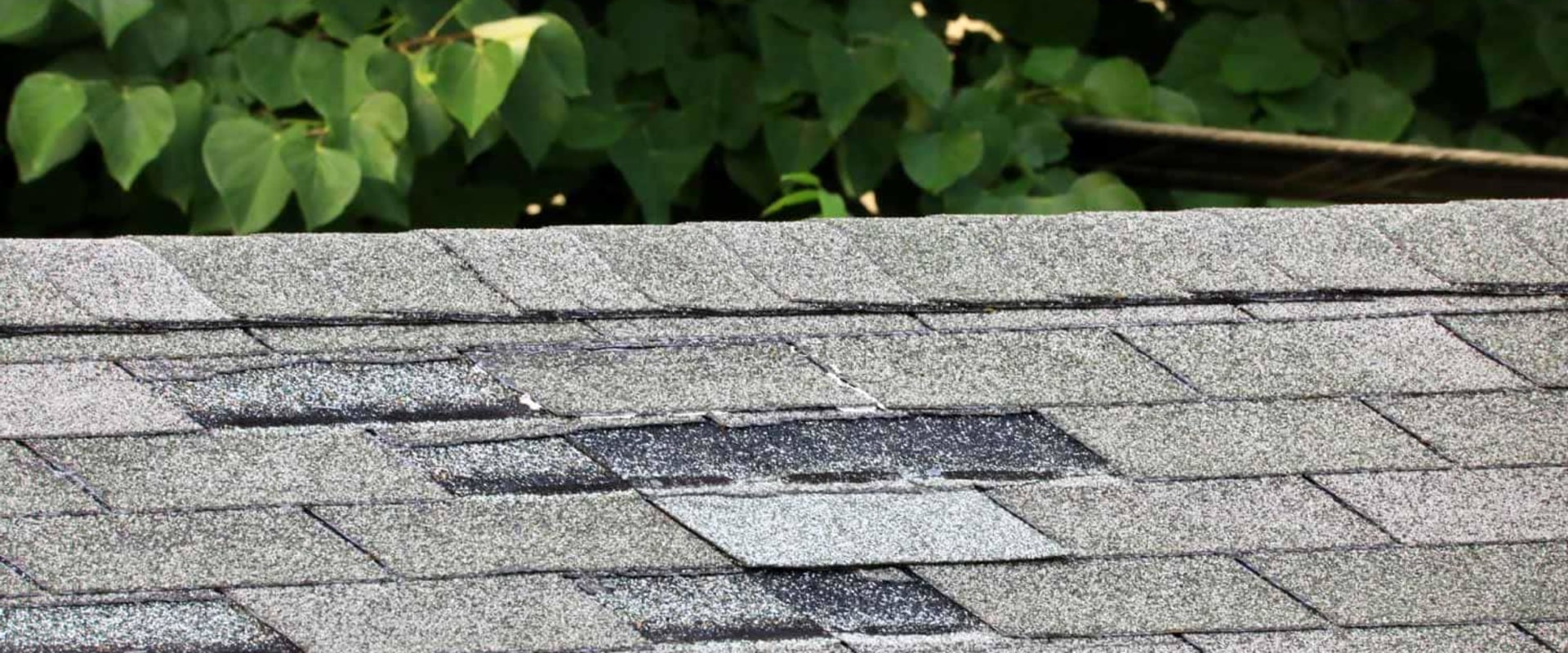 Missing or Damaged Shingles: Options and Solutions for Your Outdoor Living Spaces